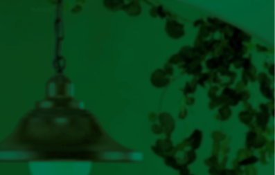 Tecto